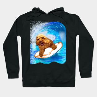 Cavapoo surfing puppy dog   - cavalier king charles spaniel poodle, puppy love Hoodie